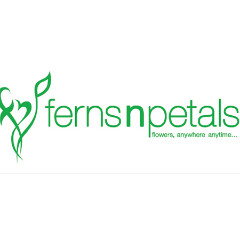 Ferns N Petals Ferns N Petals