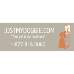 Lost My Doggie Lost My Doggie