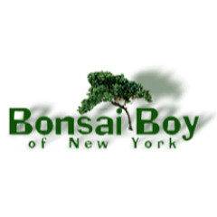 Bonsai Boy Of New York Bonsai Boy Of New York