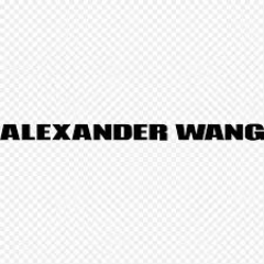 Alexander Wang AU