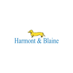 Harmont And Blaine IT