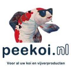 Peekoi