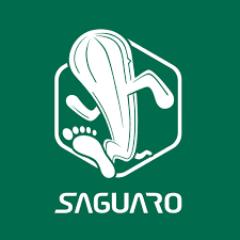 Saguaro ES