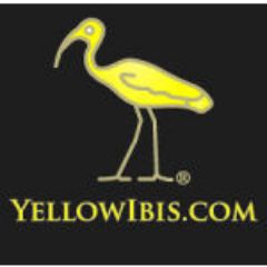 Yellow Ibis Yellow Ibis
