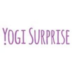Yogi Surprise